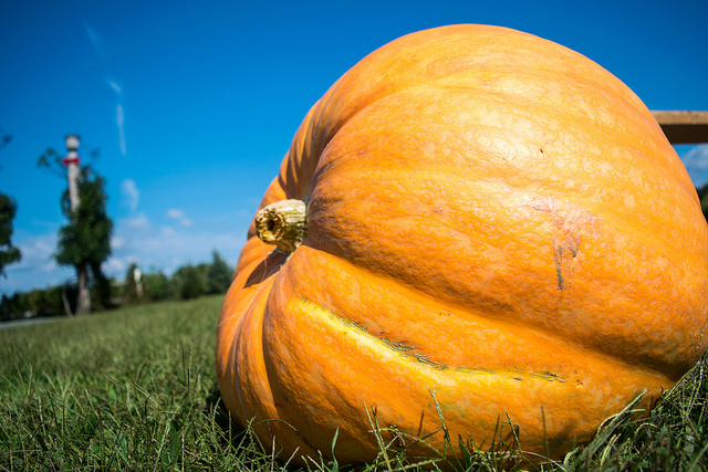 Eating in season: October