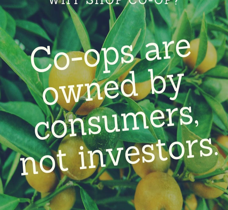 Co-op consultant: Member loans a win-win